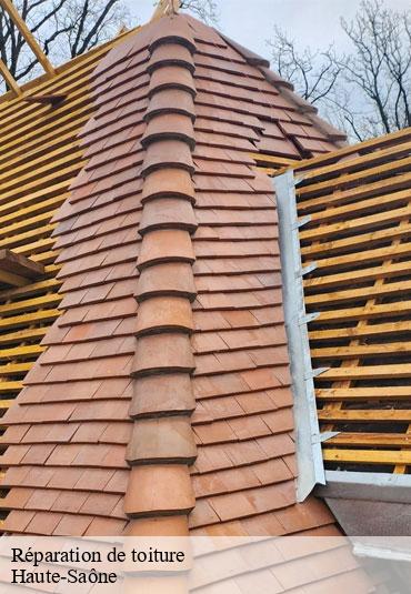 Réparation de toiture 70 Haute-Saône  Couvreur Decobecq père et fils 