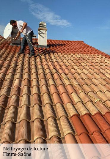 Nettoyage de toiture 70 Haute-Saône  Couvreur Decobecq père et fils 