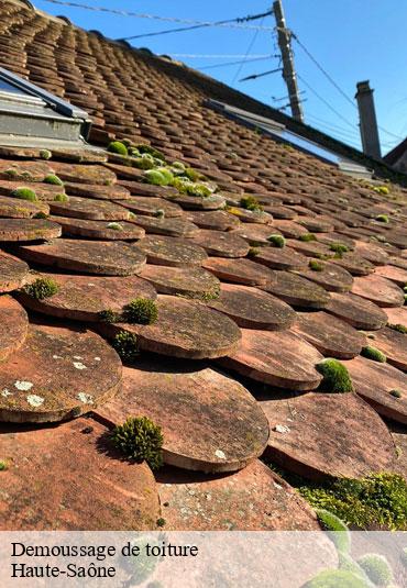 Demoussage de toiture 70 Haute-Saône  Couvreur Decobecq père et fils 