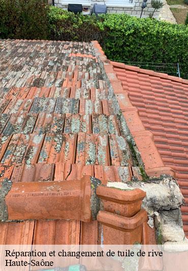 Réparation et changement de tuile de rive  70 Haute-Saône  Couvreur Decobecq père et fils 