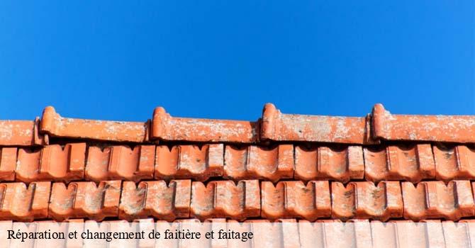 Réparation et changement de faitière et faitage 70 Haute-Saône  Artisan Fallone