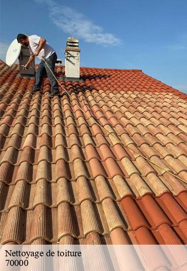 Nettoyage de toiture  andelarrot-70000 Couvreur Decobecq père et fils 