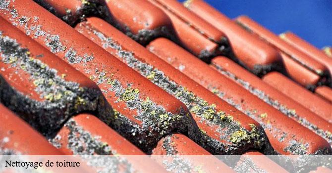 Nettoyage de toiture  baignes-70000 Couvreur Decobecq père et fils 