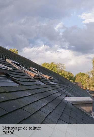 Nettoyage de toiture  cendrecourt-70500 Artisan Fallone