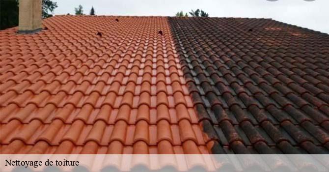 Nettoyage de toiture  cromary-70190 Artisan Fallone