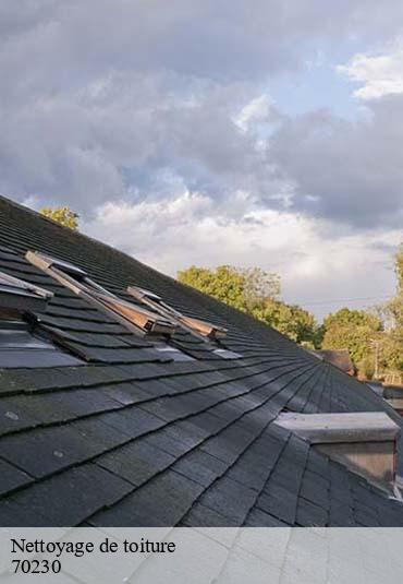 Nettoyage de toiture  fontenois-les-montbozon-70230 Artisan Fallone