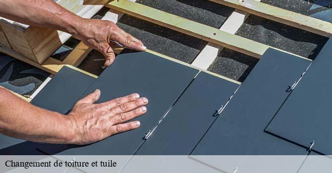 Changement de toiture et tuile  abelcourt-70300 Artisan Fallone