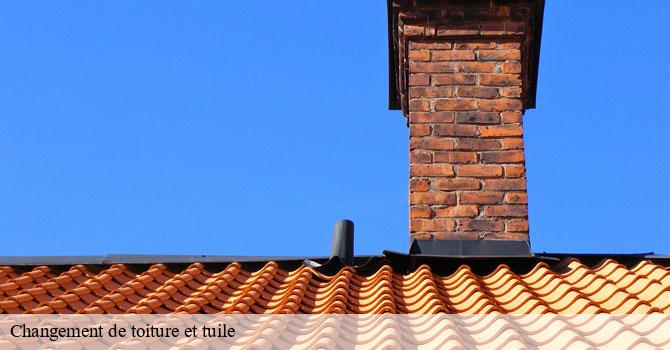 Changement de toiture et tuile  magny-danigon-70200 Couvreur Decobecq père et fils 