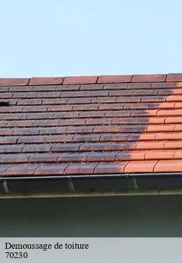 Demoussage de toiture  bouhans-les-montbozon-70230 Artisan Fallone