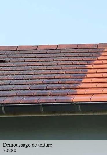 Demoussage de toiture  la-bruyere-70280 Artisan Fallone