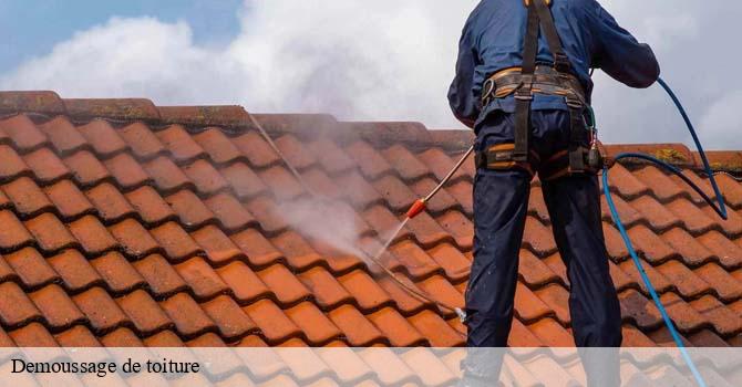 Demoussage de toiture  fouvent-le-bas-70600 Artisan Fallone