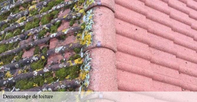 Demoussage de toiture  rosey-70000 Couvreur Decobecq père et fils 