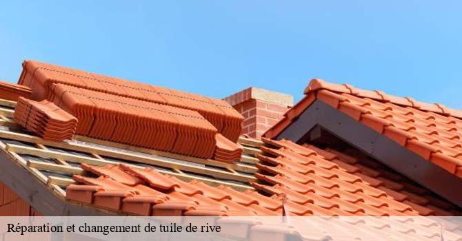 Réparation et changement de tuile de rive   argillieres-70600 Artisan Fallone