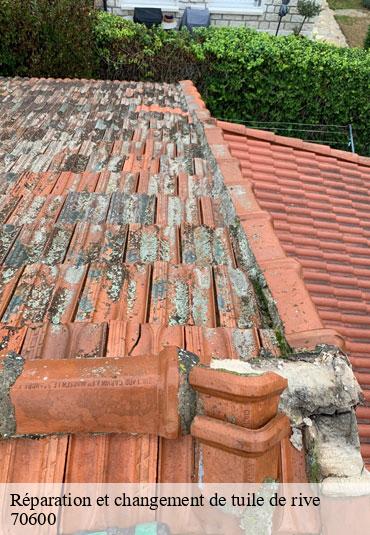 Réparation et changement de tuile de rive   fouvent-saint-andoche-70600 Couvreur Decobecq père et fils 