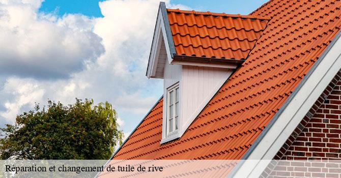 Réparation et changement de tuile de rive   magnoncourt-70800 Couvreur Decobecq père et fils 