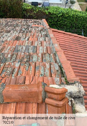 Réparation et changement de tuile de rive   mailleroncourt-pancras-70210 Couvreur Decobecq père et fils 