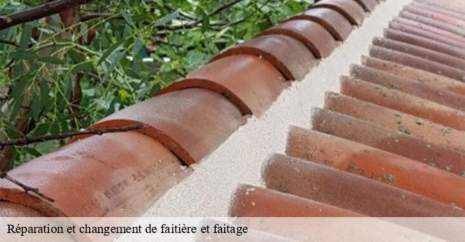 Réparation et changement de faitière et faitage  andornay-70200 Couvreur Decobecq père et fils 