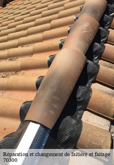 Réparation et changement de faitière et faitage  brotte-les-luxeuil-70300 Couvreur Decobecq père et fils 