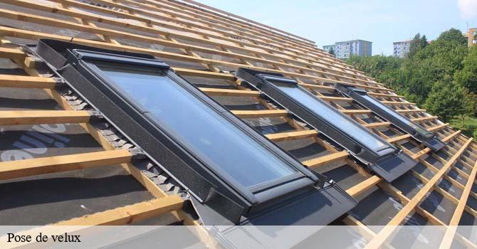 Pose de velux  quitteur-70100 Artisan Fallone