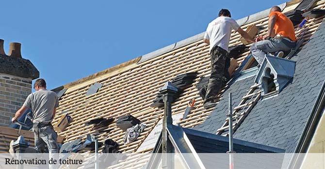 Rénovation de toiture  aillevans-70110 Artisan Fallone