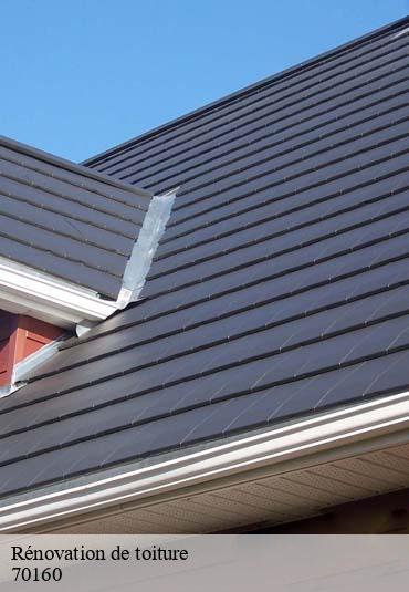 Rénovation de toiture  contreglise-70160 Artisan Fallone