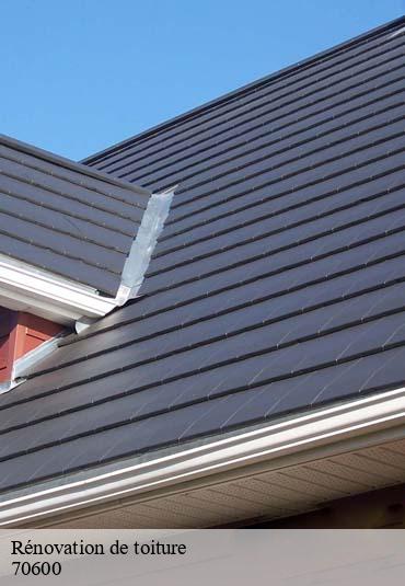 Rénovation de toiture  fouvent-le-bas-70600 Artisan Fallone