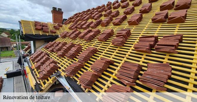 Rénovation de toiture  lyoffans-70200 Couvreur Decobecq père et fils 