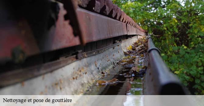 Nettoyage et pose de gouttière  adelans-et-le-val-de-bithaine-70200 Artisan Fallone