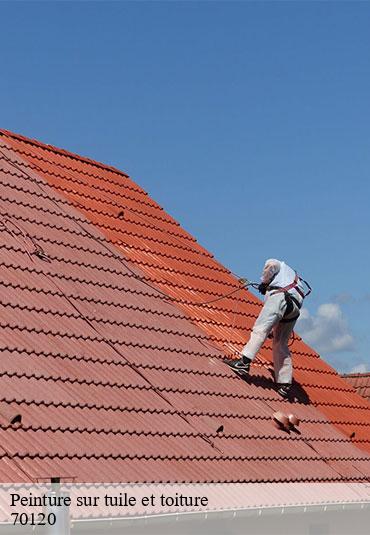 Peinture sur tuile et toiture  betoncourt-les-menetriers-70120 Couvreur Decobecq père et fils 