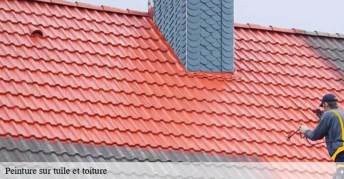 Peinture sur tuile et toiture  fouvent-le-bas-70600 Artisan Fallone