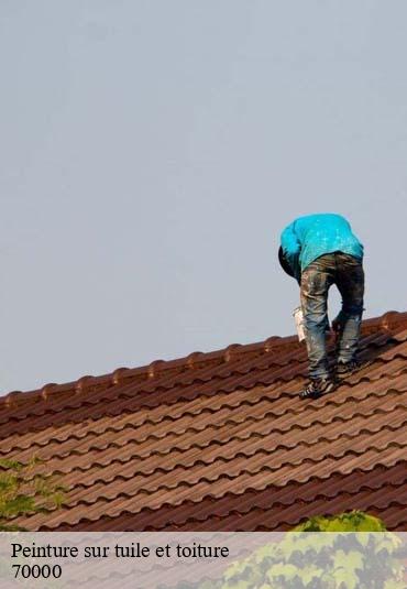 Peinture sur tuile et toiture  neurey-les-la-demie-70000 Artisan Fallone