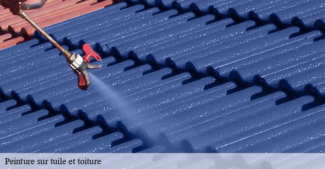 Peinture sur tuile et toiture  villers-les-luxeuil-70300 Couvreur Decobecq père et fils 