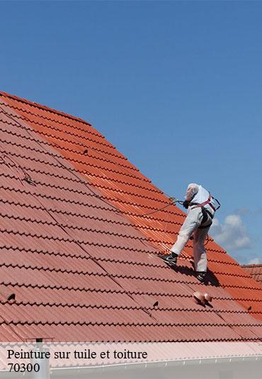 Peinture sur tuile et toiture  villers-les-luxeuil-70300 Couvreur Decobecq père et fils 