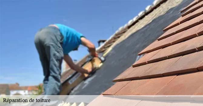 Réparation de toiture  beaumotte-aubertans-70190 Artisan Fallone
