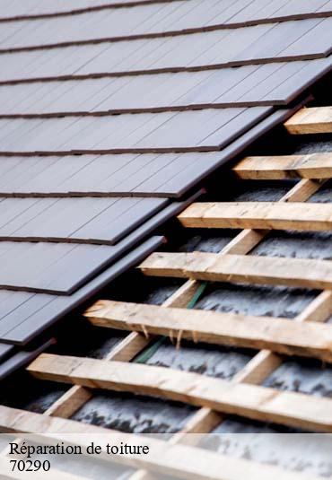 Réparation de toiture  plancher-bas-70290 Artisan Fallone