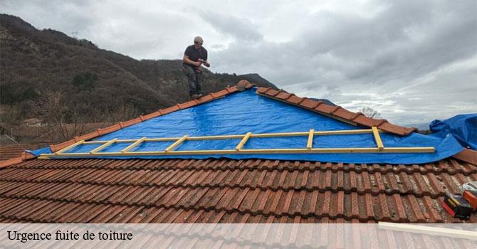 Urgence fuite de toiture  hericourt-70400 Couvreur Decobecq père et fils 
